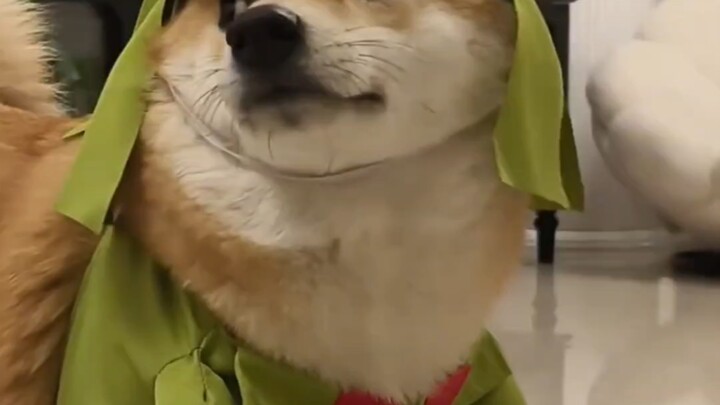 Can I pet this?