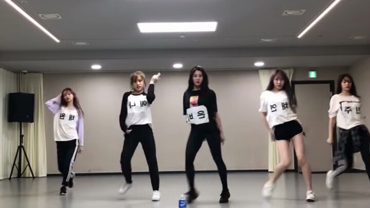 [Practicing Basic Skills with Idols Episode 14] Rumor is really good to watch, anyone who dances it 