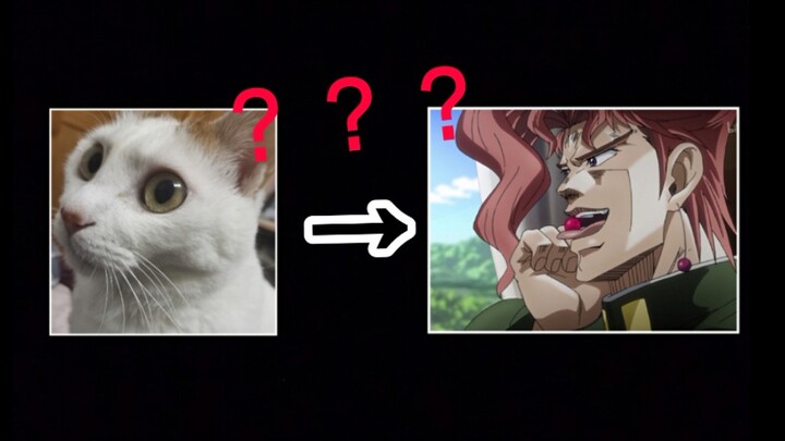 【JOJO】我把我家猫变成了花京院？？？