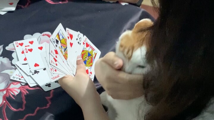You don’t speak when you look at the cards—do you get it?