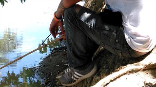 dream come true in isabela