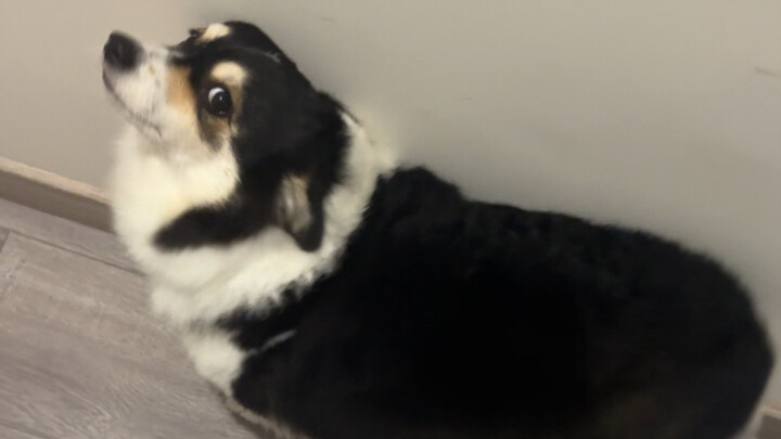 Come on, Mom—don’t coddle me just because I’m a delicate flower!