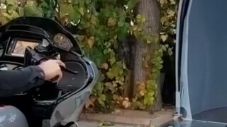 Cái này thực sự tốt