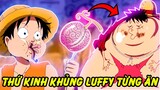 Luffy Từng Ăn 1 Con Rồng?! | Những Thứ Kinh Khủng Mà Luffy Đã Từng Ăn