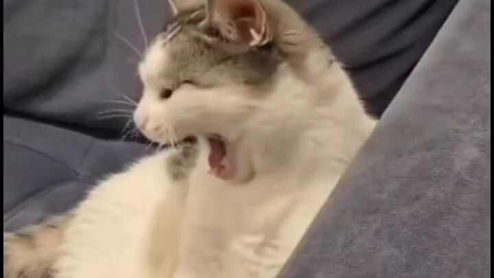 ฮาๆ