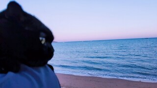 A black cat on my shoulder!