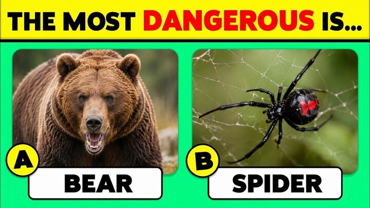 Hard Animal Quiz: Only 5% Pass This! 🦁