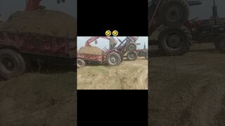 #funny #funnyvideo #trending #cow #comedymoments #tractor #housecow #comedy #horse #tiktok