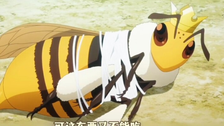 The male lead caught a giant queen bee—now he’ll have an endless supply of honey to enjoy!
