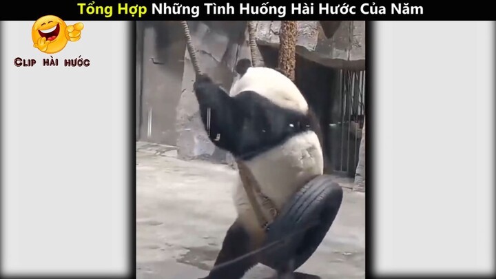 Tổng Hợp Những Tình Huống Hài Hước Của Năm _ phần cuối