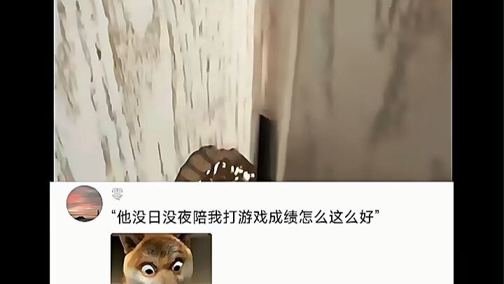 “Anh ấy ngày đêm cùng tôi chơi game mà sao thành tích lại tốt thế nhỉ”