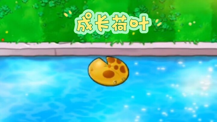 A Lotus Leaf That Can't Grow