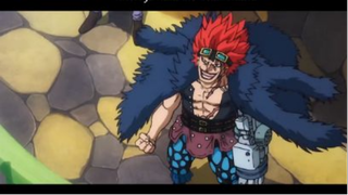 Cướp biển thời đại đen tối #animehay#animedacsac#Onepiece#Luffy