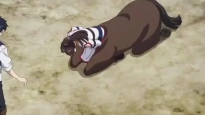 Naruto shipudden