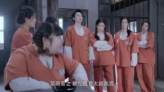 The female prison bully bullies the newcomer, but the newcomer is a kung fu master.