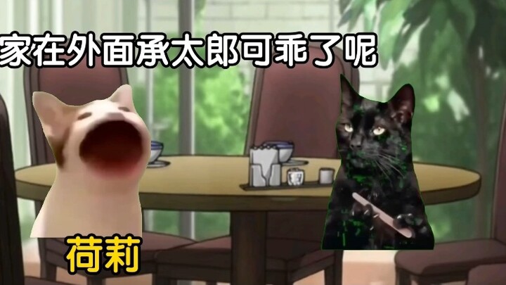 Jotaro in Holly's eyes