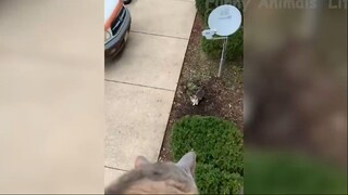 Những con người ngốc nghếch nhất hành tinh #67