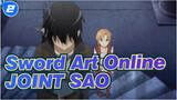 Sword Art Online| JOINT【SAO】_2