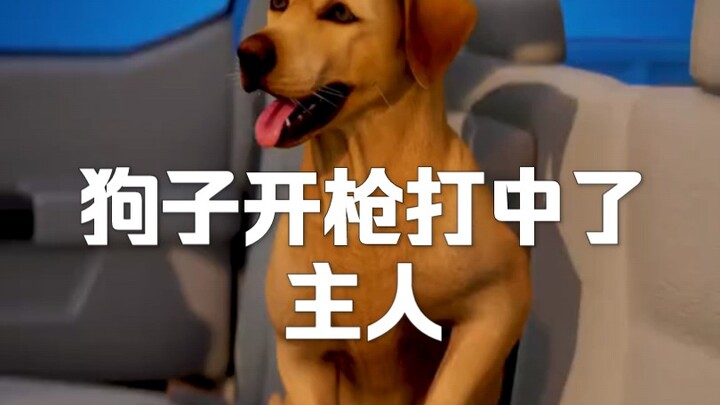 Chú chó nổ súng bắn trúng chủ nhân, kết cục thật đáng suy ngẫm~