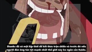 Sự Cân Bằng Giữa Tứ Hoàng - Hải Quân - Thất Vũ Hải _ Thế Lực Nào Mạnh Nhất p5
