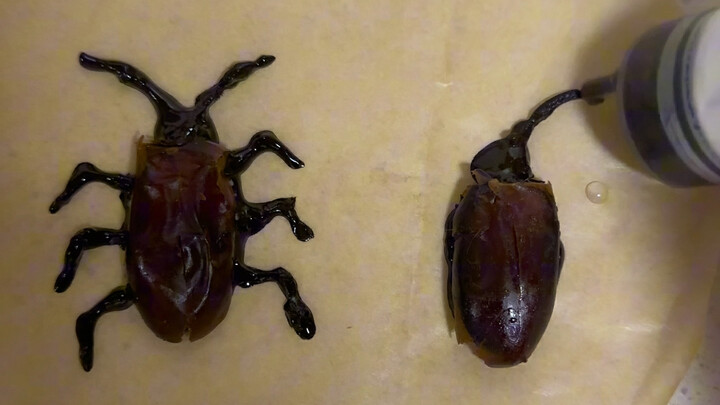 الشخص الذي تمكن من ابتكار هذا الحلى لديه حسّ عالٍ في التذوّق!