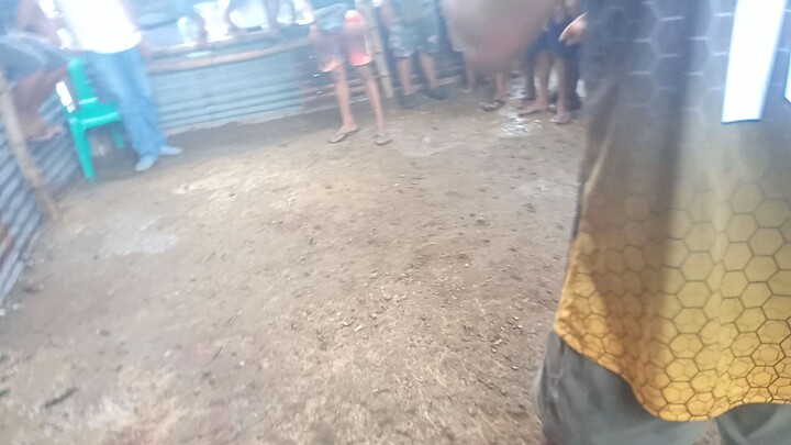 pinilit kami eh d cge gooooo..