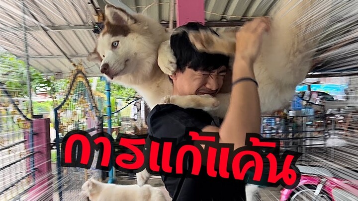 การแก้แค้นของลุงเก่งกับข้าวเหนียวคู่นี้ไม่ยอมกันเลย (รักกันเหละดูออก)
