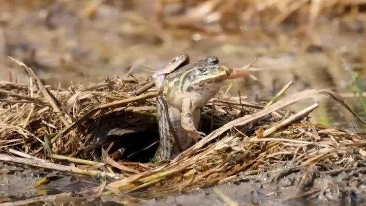 Talked for ages but nothing came out—totally unexpected!