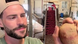 小哥种植的红色土豆，被人怀疑是给土豆涂色了，导致他5000万播放量的视频被删掉