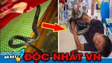 7 Loài Rắn Cực Độc và Nguy Hiểm Nhất Việt Nam...Đoạt Mạng Trong Tích Tắc | Khám Phá Đó Đây