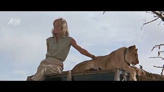 THE_LIONESS_QUEEN_-_Hollywood_Movie_Hindi_Dubbed___Virginia_McKenna,_Bill_Travers___Adventure_Movie(