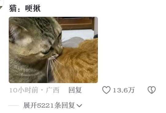 แมวนากลาย: ไม่รู้จักเลียขน แต่มีแรงเยอะนะ~