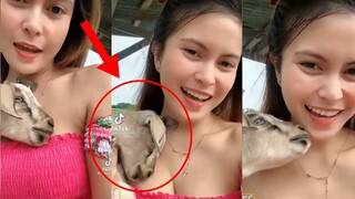 Gusto Mo Nalang Maging Kambing | Funny Videos Memes Compilation