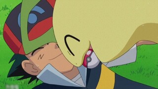 [Pokémon] Sau khi tiến hóa, Chikorita vẫn rất thích Xiaozhi!