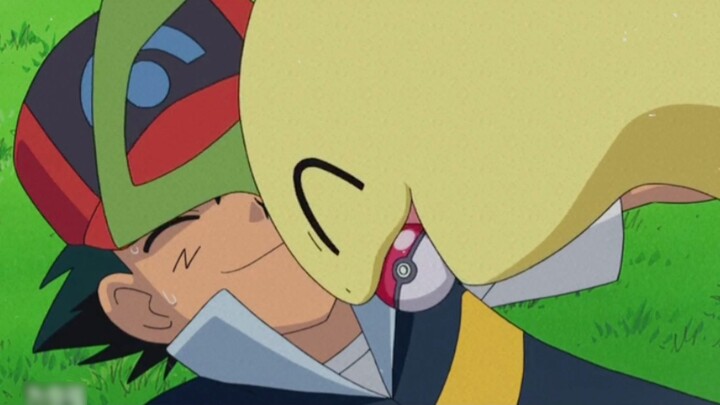 [Pokémon] Sau khi tiến hóa, Chikorita vẫn rất thích Xiaozhi!