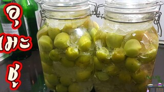 เหล้าบ๊วย หรือ อุเมะชู 梅酒 (Umeshu) l พี่ดาสอนทำอาหาร l My Life By PDa