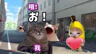 [Subtitled Content] The story of how I planned to rent a server from Dongheng's Lijin Guo to play Ap