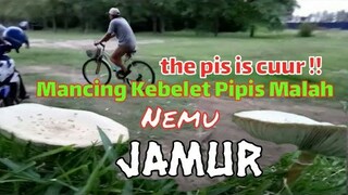 Mancing Kebelet Pipis Malah Nemuin Jamur Banyak Banget