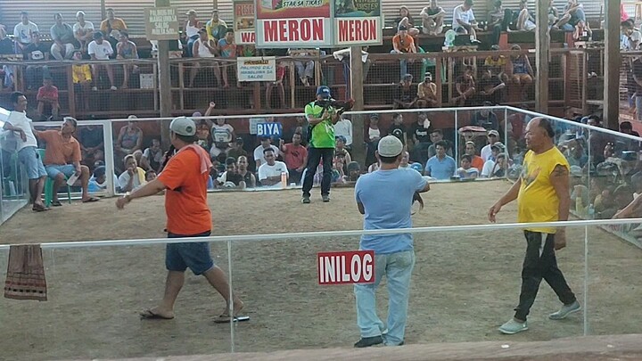 entry name DDB 1st fight