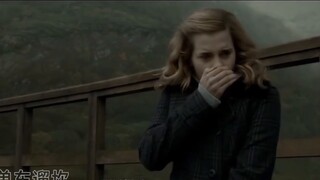 [Số 3/3] Sau khi đọc thần chú bằng tiếng Quảng Đông, Voldemort đã đầu hàng ngay lập tức.