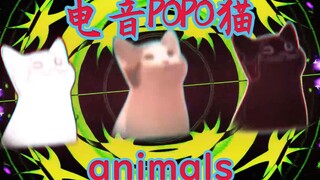 ⚡电音POPO猫⚡