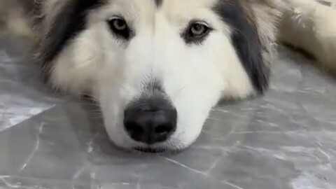 What a loving family!