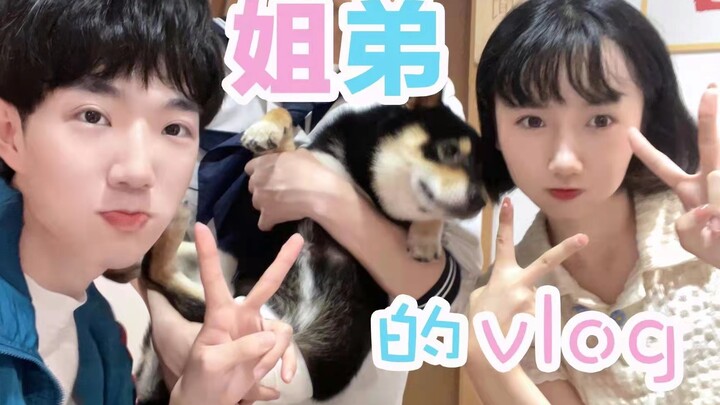 BB和吉吉的撸狗一天