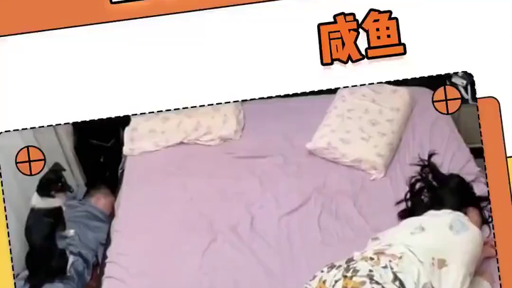 "Olahraga Putar Keluarga: Interaksi Aneh Antara Suami Istri dan Pembasmi Tungau"