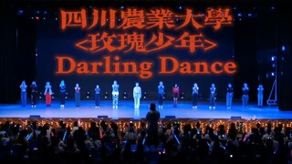 玫瑰少年｜「你是你或是妳都行 会有人全心地爱你」