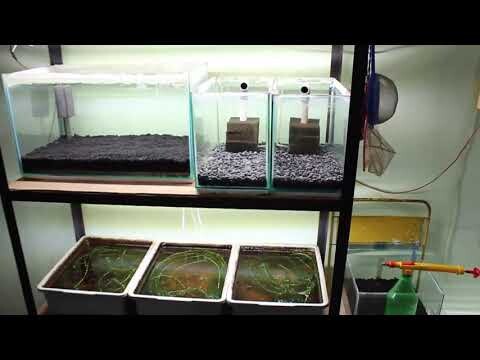 Quick Update (+Sneak Peek)