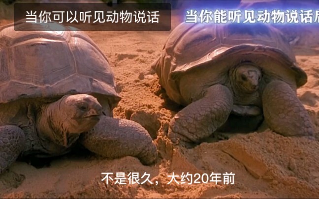 Kalau kamu bisa ngomong sama hewan, hal pertama yang pengin kamu lakuin apa? Dokter jenius yang suka