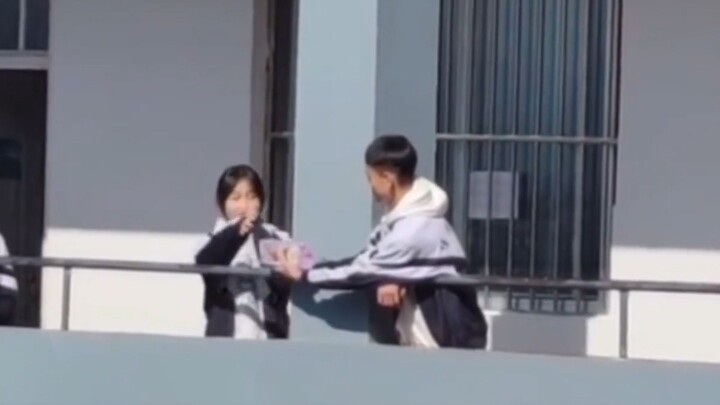 Now THIS is what you call青春!