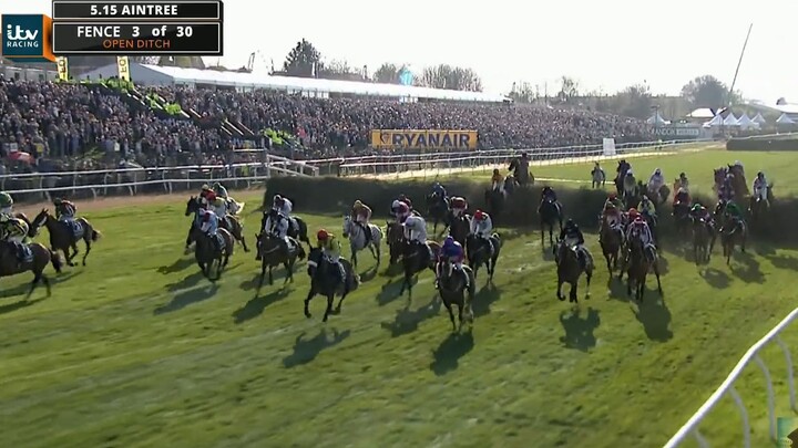 The race that sets the whole venue on fire—One horse takes the lead as thousands charge forward!