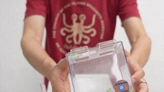 Wait a minute, congratulations to this person who got the full price of Bikini Beach | Brick Distric